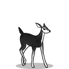 点亮商业未来的{固定网站名称23}